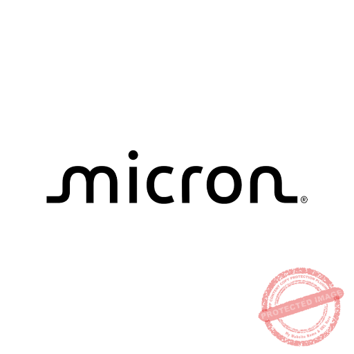 Micron Micron